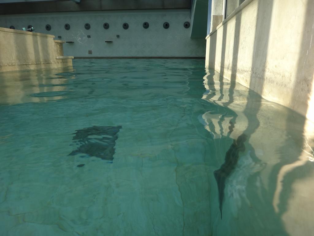 Terme Di Venturina Hotel Venturina Terme Kültér fotó